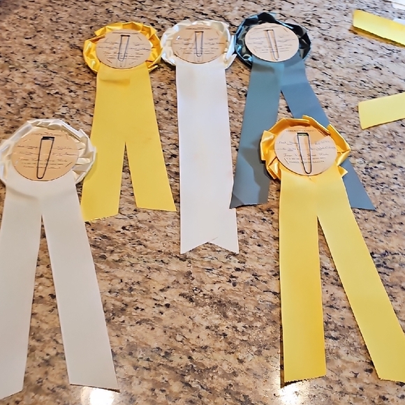5 Vintage original 1965 1966 Horse Show Rosettes Fort Sumner NM ribbons winners - Picture 15 of 16